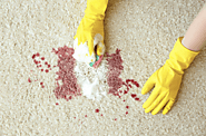 Carpet stain removal service in Hobart