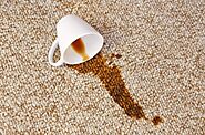 Carpet Mould Damage Removal Hobart