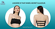 Get the best quality of different types of Bras only on Ellixy