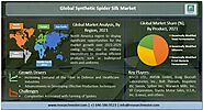 Synthetic Spider Silk Market Industry Insights, Size, Share, Growth and Forecast to 2029