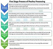 Poultry Processing Market Top Impacting Factors and Investment Study