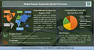 Global Human Organoids Market Will Generate New Growth Opportunities By 2030