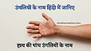 Fingers Name In Hindi - उनका ये नाम क्यों रखा गया ? » Hindi Samadhan