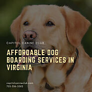 Affordable Dog Boarding Services in Virginia