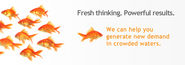 Marketing Associates USA | MARKETING + PROMOTIONS + BRANDING