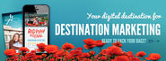 Atlanta Branding and Web Design - Logos * Print * Websites * Animation