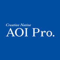 AOI Pro. Inc.