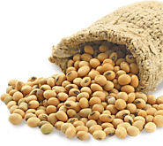 Refined Soybean Oil - Best Soybean Oil Online at Gulab Oils