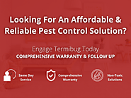 Best Pest Control Company in Singapore