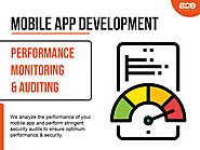 Application Performance Monitoring and Auditing