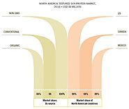 Textured Soy Protein Market Size, Share | Global Industry Trends, 2017-2022