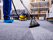 Best Carpet Cleaning in Coral Springs