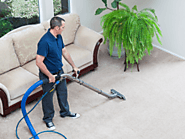 Trustworthy Carpet Cleaning Coral Springs