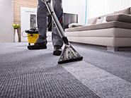 Regular & Professional Carpet Cleaning in Pompano Beach