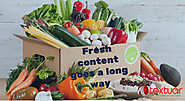 Reasons Why Fresh Content is Essential for Your Website