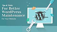 Tips & Tricks for Better WordPress Maintenance for Your Website