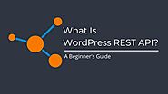What is WordPress REST API? A Beginner's Guide
