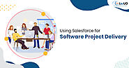 How to Use Salesforce for Software Project Delivery