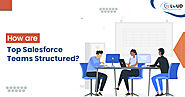 How are Top Salesforce Teams Structured? - 360 Degree Cloud