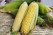 Sweet corn: Can you grow corn in India?
