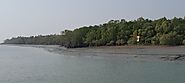 Best Sundarban tour package from Kolkata