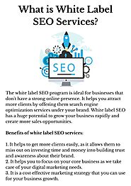 What is White Label SEO Services?