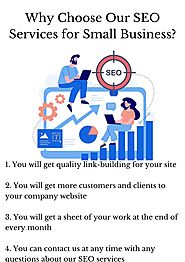 Why Choose Our SEO Services for Small Business?