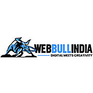 Want to connect a best website designing company in Noida?