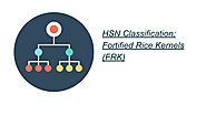 HSN Classification: Fortified Rice Kernels (FRK)