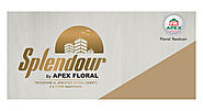 Apex Splendour Brochure - Download Noida Extn pdf brochure