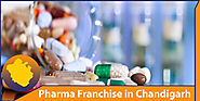 PCD Pharma Franchise Company | Pharma business in Chandigarh, Punjab