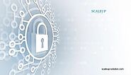 Network Security Services Company Dubai | Scaleup Solution