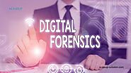 What Should You Know About the Digital Forensics?