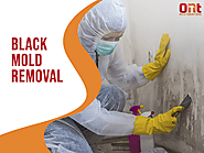 Black mold removal