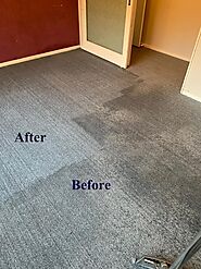 Professional Carpet Cleaning in Sydney