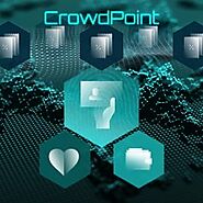What's Unique About CrowdPoint's Blockchain Ecosystem?