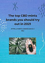 The top CBD mints brands you should try out in 2021