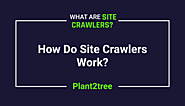 How Do Site Crawlers Work?(What are Site Crawlers?) - plant2tree