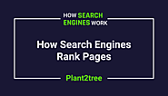 How Search Engines Rank Pages - Plant2tree