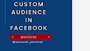 Usage of Custom Audience in Facebook Ads Manager || Plant2tree