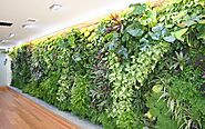 Why Is It a Good Idea to Invest in an Artificial Vertical Garden?