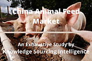Segment analysis on China Animal Feed Market