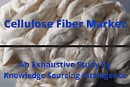 Cellulose Fiber Market to grow at a CAGR of5.53% (2019-2026)