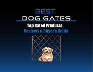 Extra Tall Dog Gates Indoor Review 2021