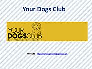 Dog Beds | Cushioned Dog Beds | Plastic Dog Beds by yourdogsclub - Issuu