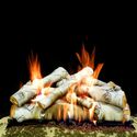 Best Gas Fireplace Logs in Birch on Flipboard