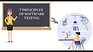 What are the 7 Principles of Software Testing | Q-Pros