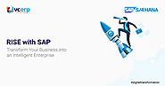 Cloud On-your-Terms with RISE with SAP