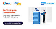 SAP S/4HANA on-premise Edition Implementation