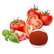 USDA Approved Bulk Organic Tomato Powder Supplier in USA